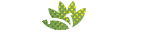 jannatgreen.com-